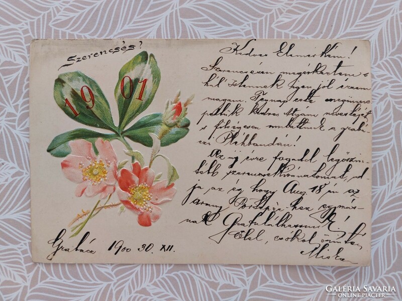 Old embossed postcard 1901 postcard clover wild rose