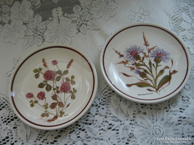 Pair of old botanical hand-painted Wechsler-Tirolkeramik schwarz/Austria wall plates, clover, cornflower