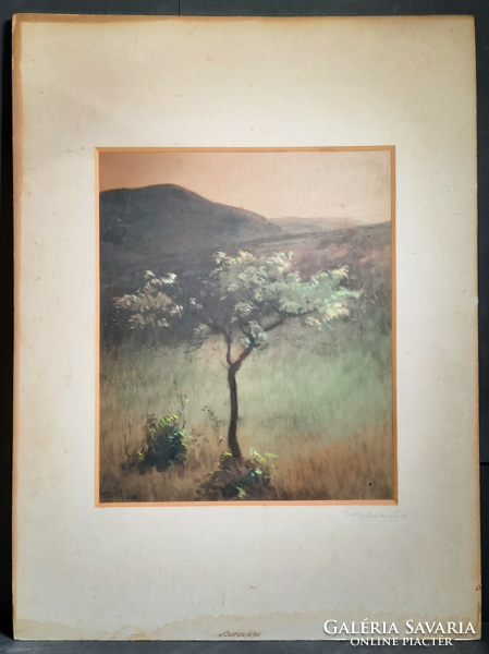 Sándor Gulyás (1889-1974): peach tree (mixed media)