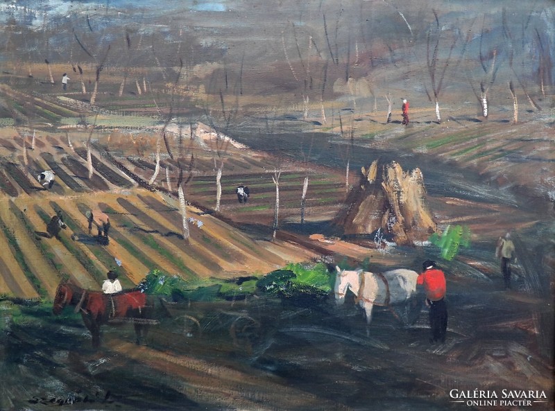 Károly Szegvár / work on the fields