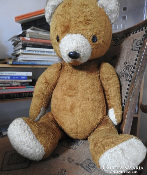 Old large teddy bear