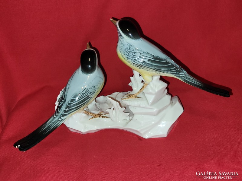 Gyönyörű ritka ENS porcelán madár páros