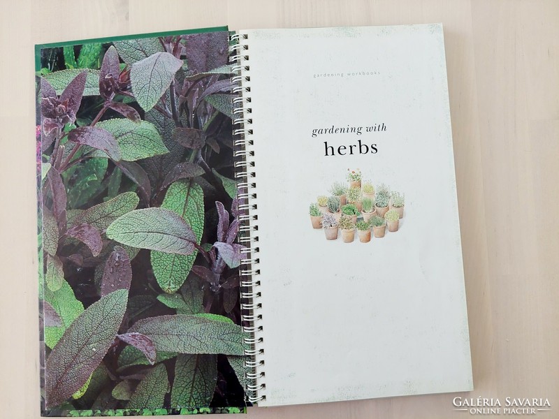 Gardening with herbs, fűszernövény kertészet, kreatív könyv, angol nyelvű