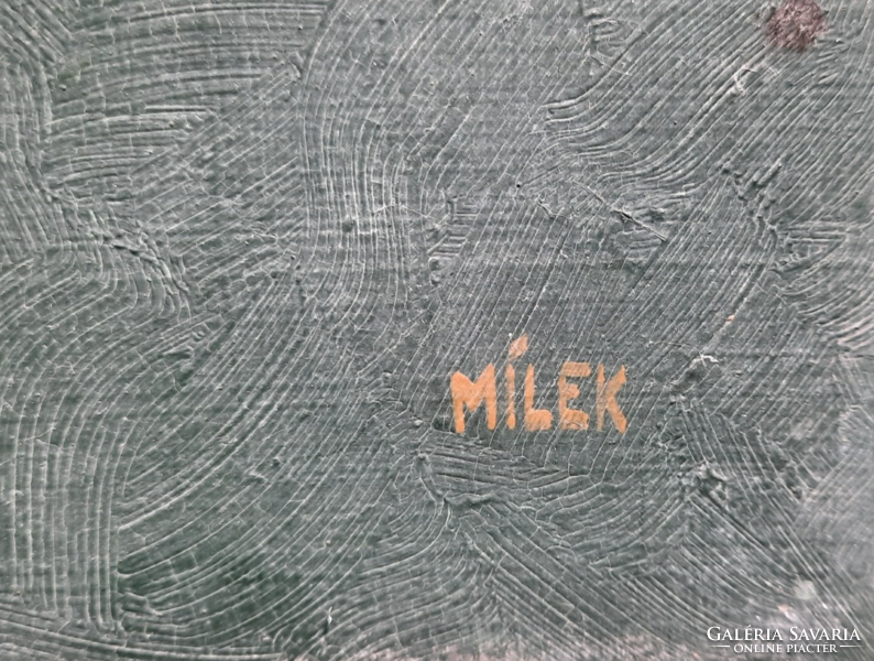 Panoráma - gyönyörű tájkép! (olaj, farost, 41x29 cm) "Milek" jelzéssel
