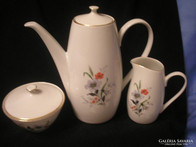 17 piece monarchy antique coffee/tea set for 6 bohemia,