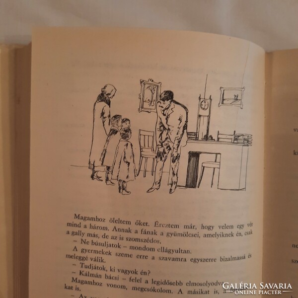 Géza Gárdonyi: long-haired danger bachelor stories fiction book publisher 1964