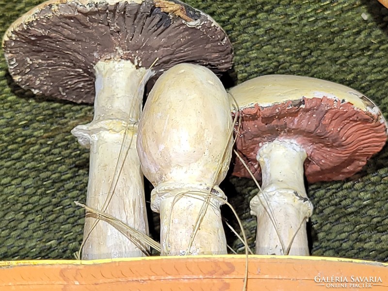 Objects illustrating mushrooms from 12 pieces of expert heritage