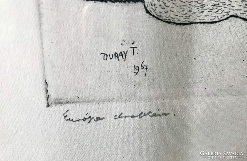 Duray Tibor: Európa elrablása!