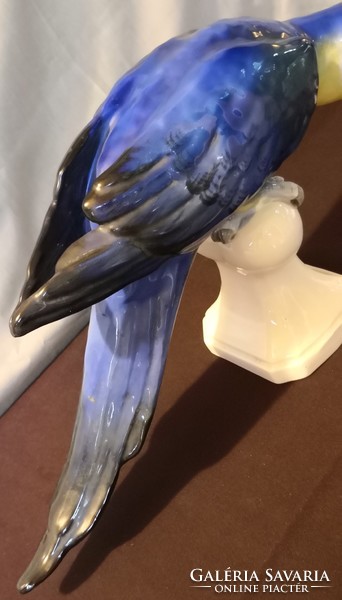 Dt/091 - antique royal dux - macaw parrot porcelain figure