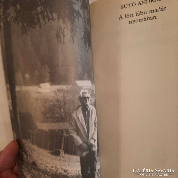 András Sütő: in the wake of the shot-legged bird, fiction book publisher 1988
