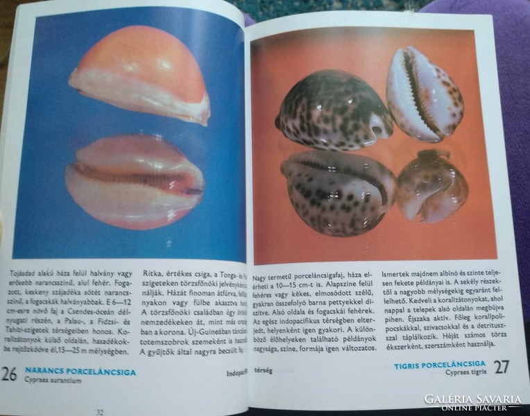 88 Color pages about the jewels of the seas agricultural publishing house 1988, Recommend!