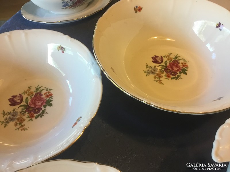 Antique roschütz porcelain tableware, beautiful