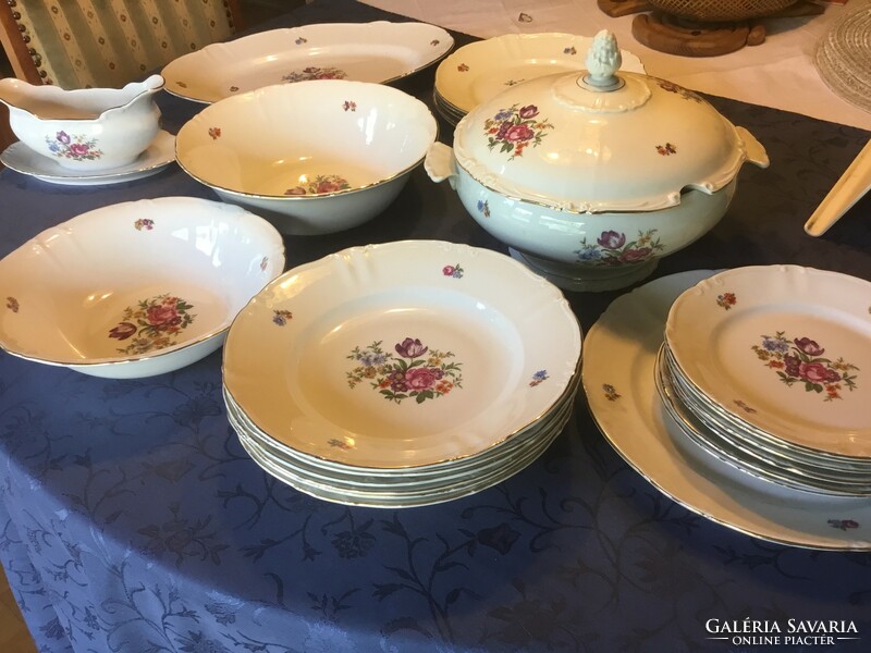 Antique roschütz porcelain tableware, beautiful