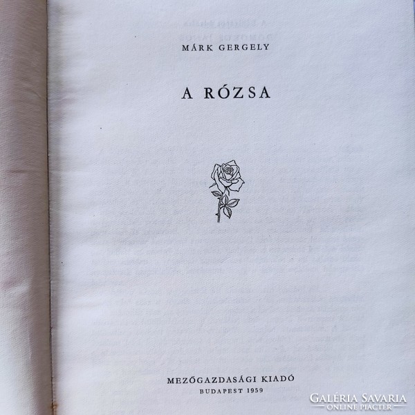 Gergely Márk: the rose, 1959.
