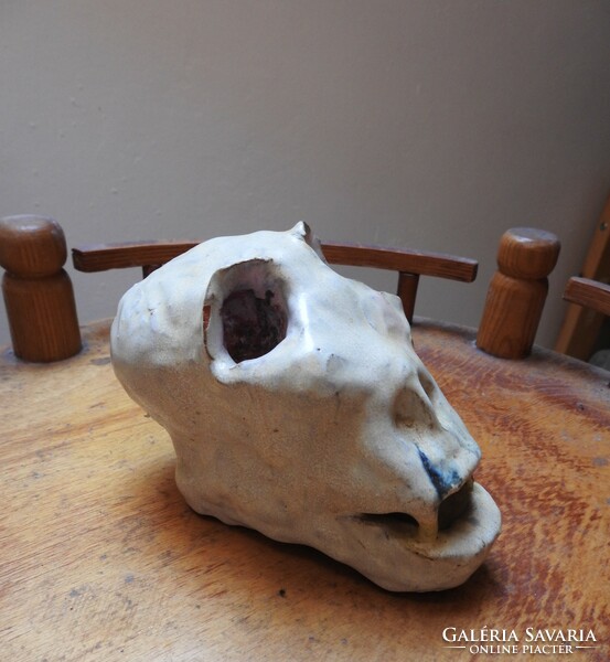 Állati koponya kerámiából