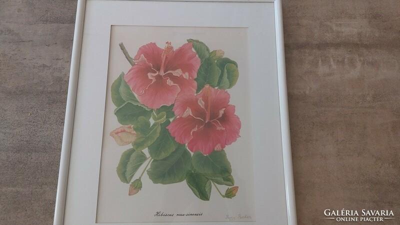 (K) peggy packer flower lithograph 42x52 cm with frame