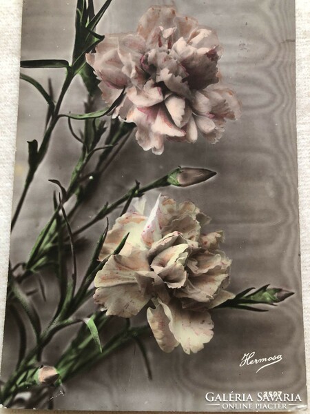 Antik, színezett virágos képeslap - 1910