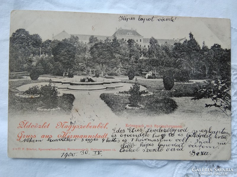 Booked antique art nouveau, long address postcard Great Sibiu Park, 1900