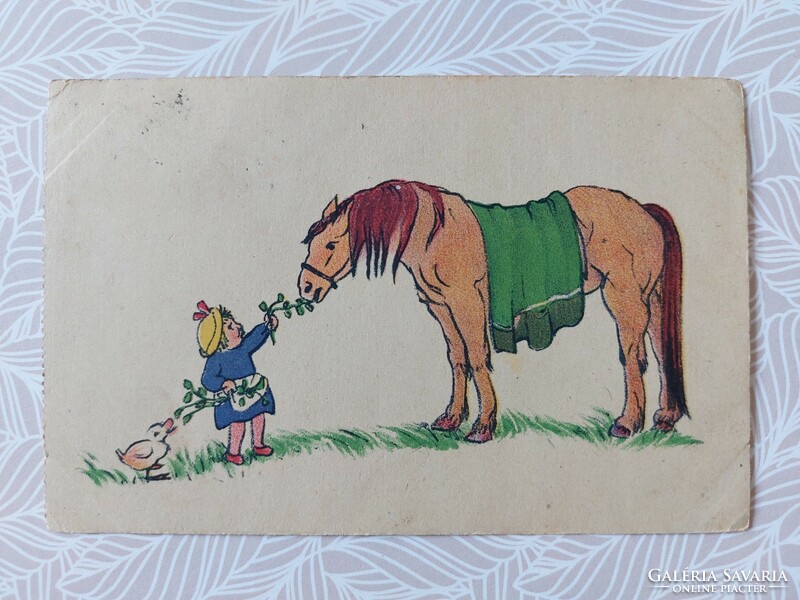 Régi képeslap levelezőlap kislány ló kiskacsa