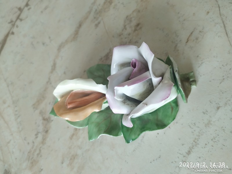 Aquincum porcelain rose for sale!