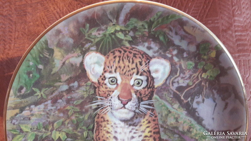 Jaguar puppy porcelain plate, decorative plate (l2923)