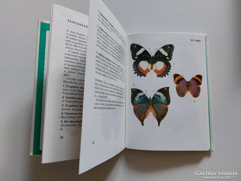 Diving pocket books mora publishing house 1982 tropical butterflies