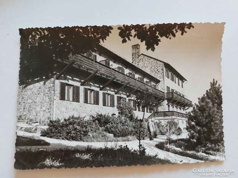 Régi képeslap fotó levelezőlap Dobogókő 1959 Napsugár szálló