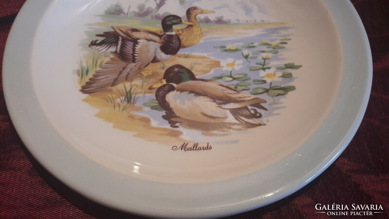 Duck porcelain plate 1 (m2909)