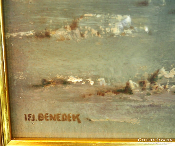 Jenő Benedek Jr.: rocky shores