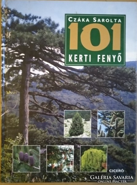 101 Garden pine, recommend!