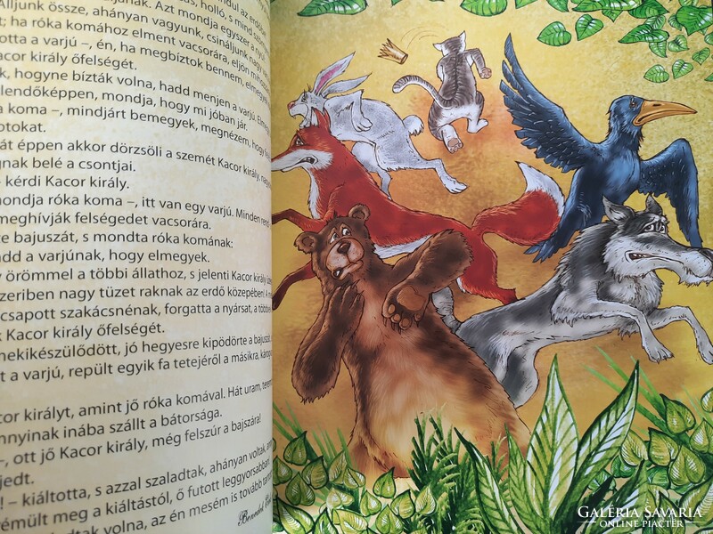 My favorite Hungarian fairy tales. HUF 6,900