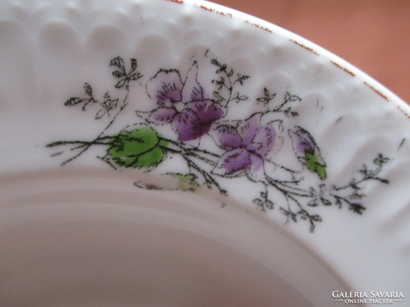 Old Czechoslovakian violet wall plate