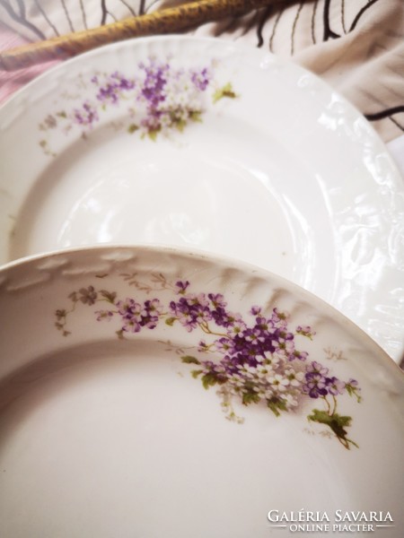 Antique forget-me-not cookie plate