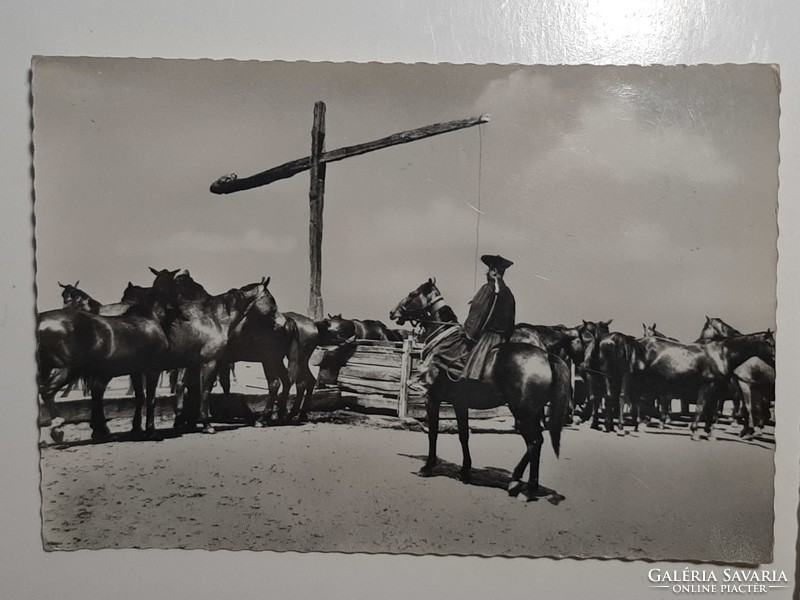 Hortobágy postcards from 1967