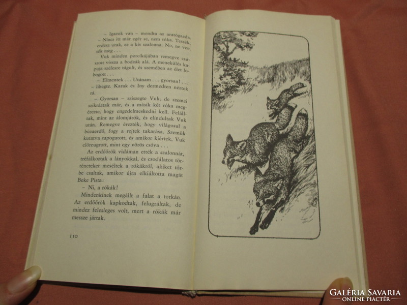 Vuk storybook, fox, animal novel