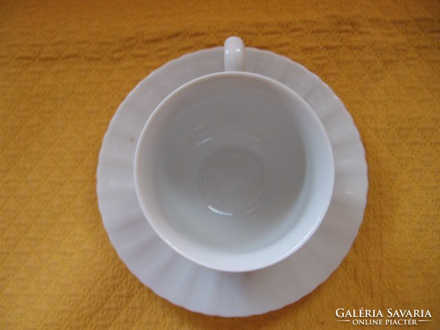 Bavaria seltmann weiden cup and saucer