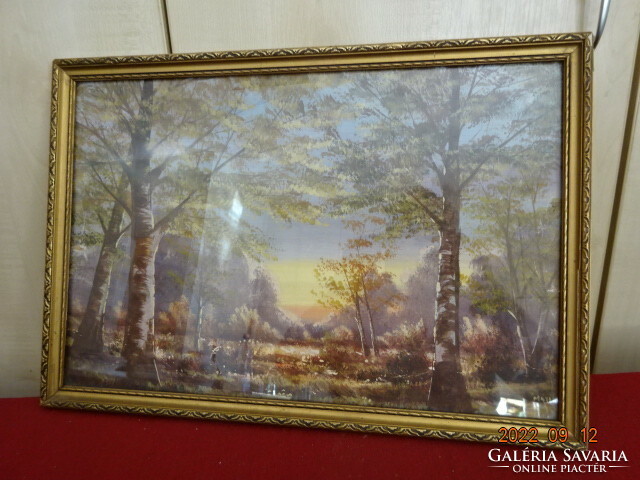 Landscape with mayer sign. Tempera painting protected by a glass plate. He has! Jokai.