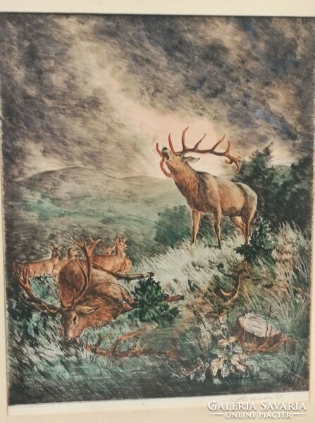 István Prihoda: roaring deer