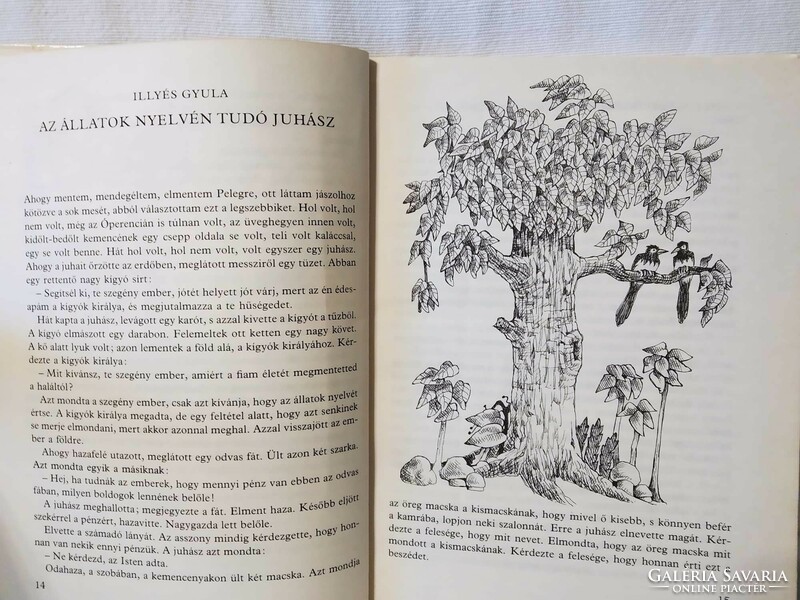 A Háromágú Tölgyfa Tündér, A legszebb magyar népmesék