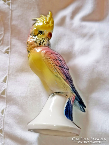 Volkstedt,  ritka porcelán papagáj