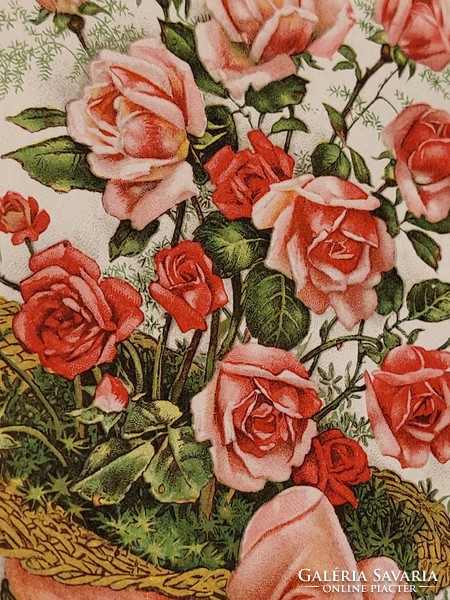 Old postcard floral postcard rose