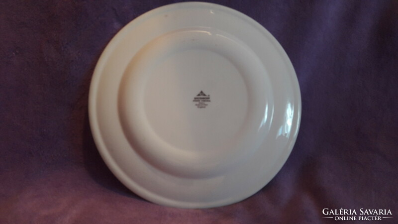 Tőkés récés porcelán tányér, nagy tál (L2979)