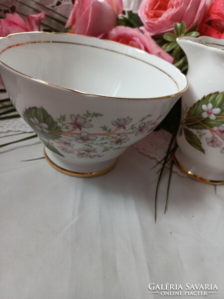 Royal Stafford English porcelain sugar bowl and spout