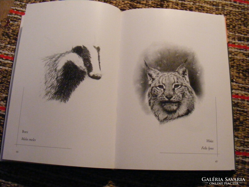 Állatok közelről - Matyikó Tibor rajzkönyve - 150 emlős és madár