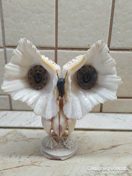 Shell owl, ornament, statue for sale!