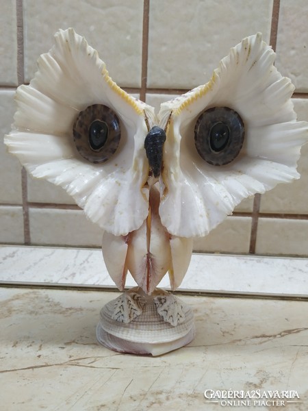 Shell owl, ornament, statue for sale!