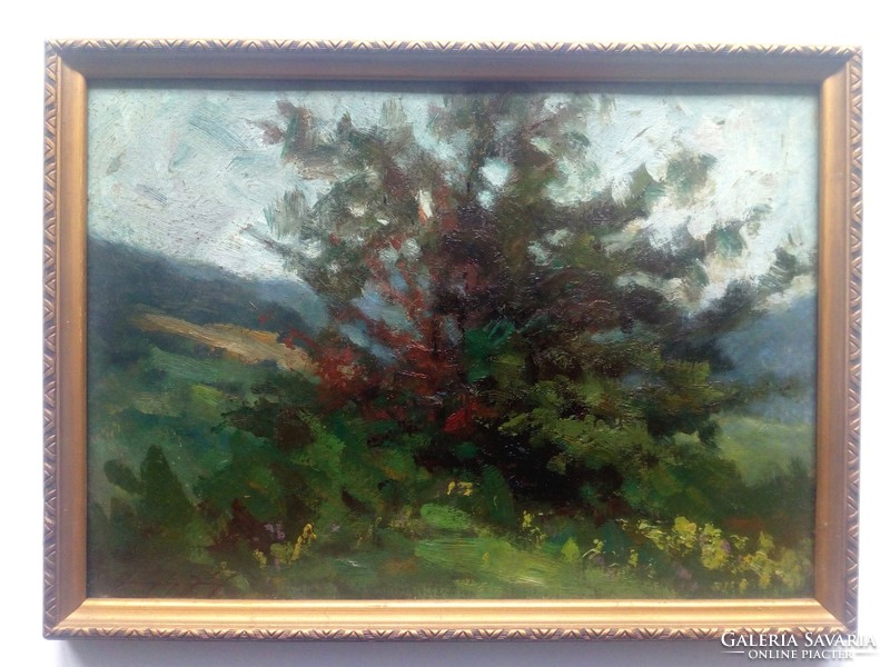 Signed landscape oil, cardboard painting with a nice frame