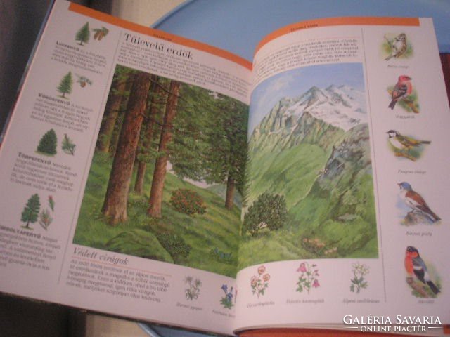 N6 the animals of the world the fauna of the European mountains is new