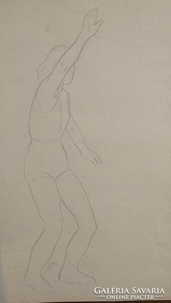 Noémi Ferenczy: the athlete (study drawing) (f338)