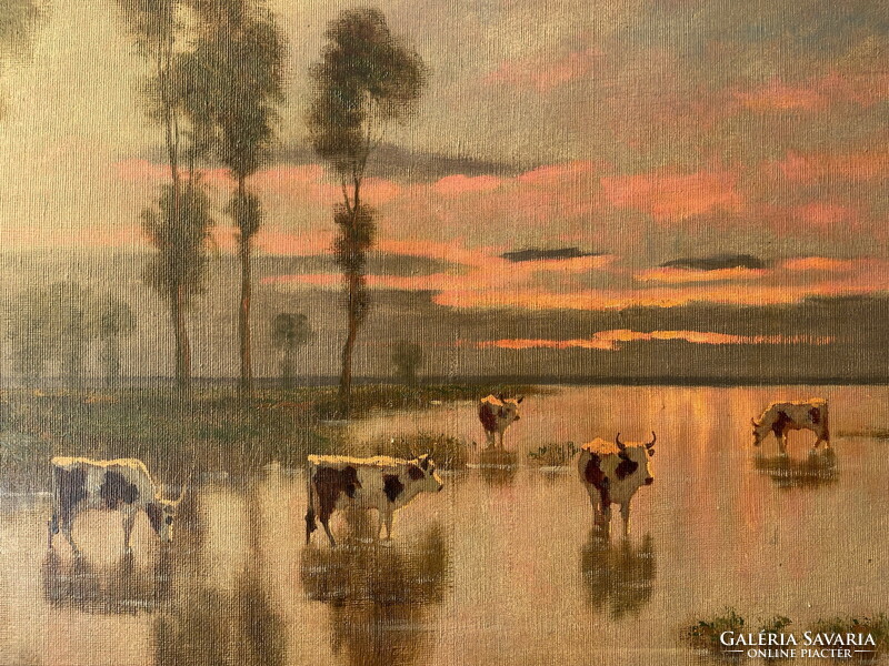 Károly Jakab: herd of cows on the waterfront 80x100cm!!